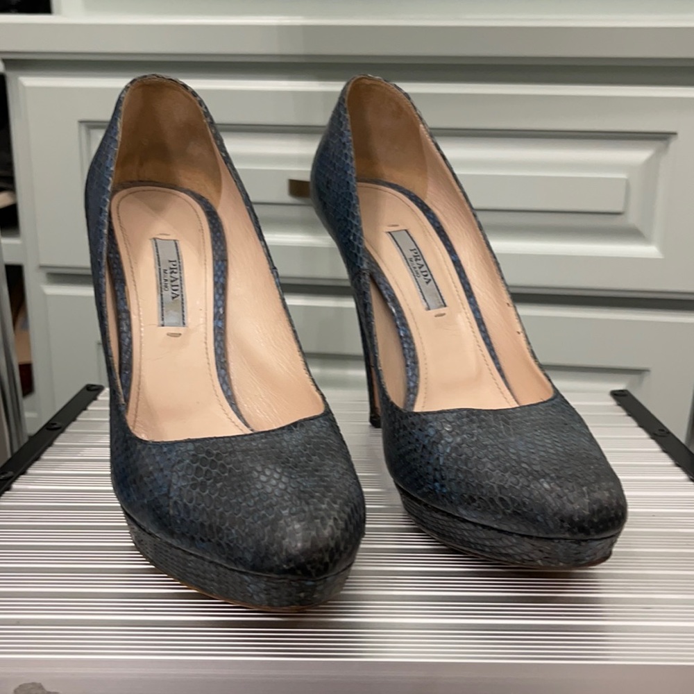 Prada blue python